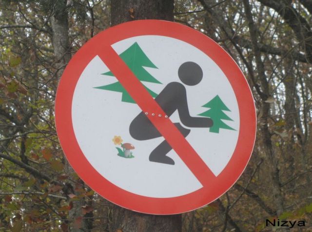 Daily picdump (153 pics)