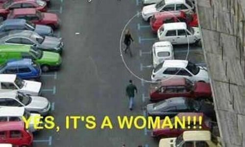 Blondes Will Be blondes! )) (59 pics)
