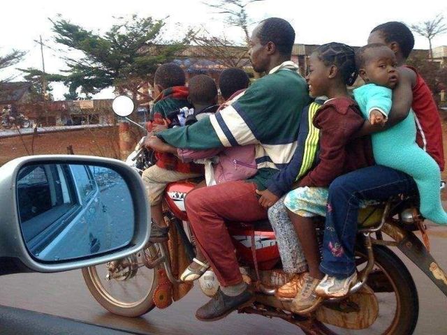 Daily picdump (127 pics)
