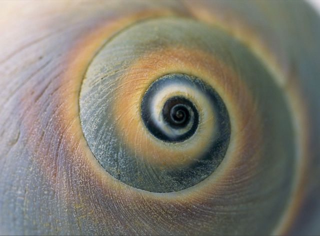 Beautiful Patterns in Nature from National Geographic. Part 2 (78 pics)