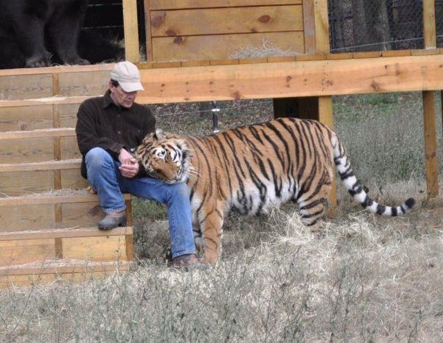 Daily picdump (197 pics)