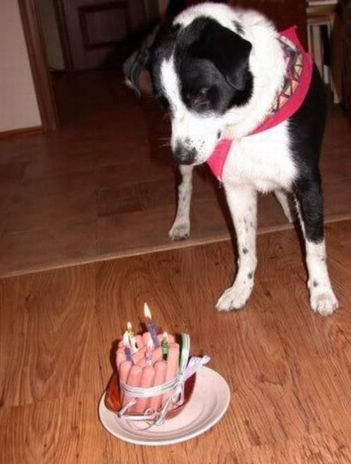 Daily picdump (197 pics)