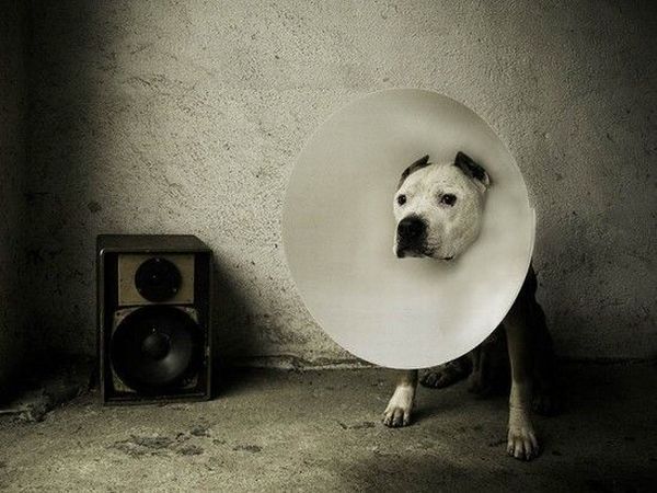 Daily picdump (120 pics)