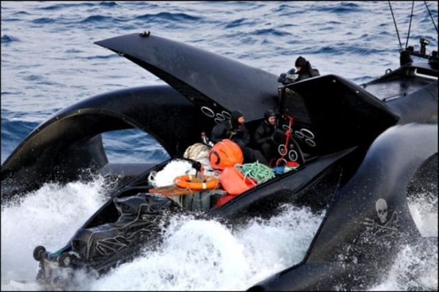 Trimaran Ady Gil Goes Down (15 pics + 2 videos)