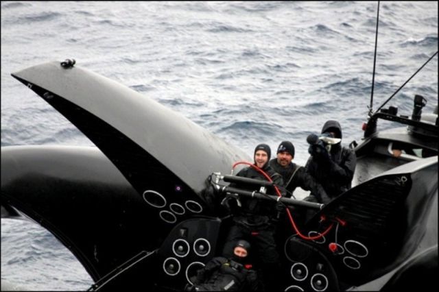 Trimaran Ady Gil Goes Down (15 pics + 2 videos)
