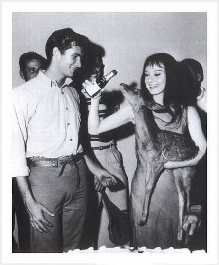 Rare Photographs of Celebrities (125 pics)