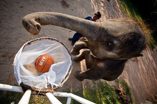 Daily picdump (173 pics)