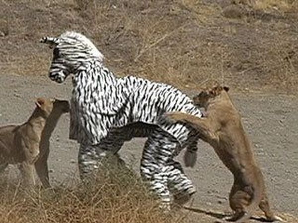 Daily picdump (173 pics)