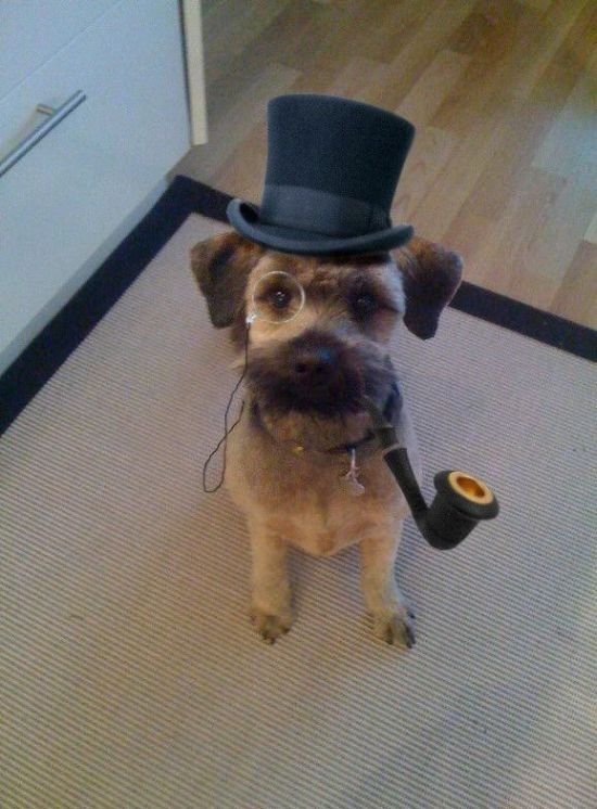 Daily picdump (173 pics)