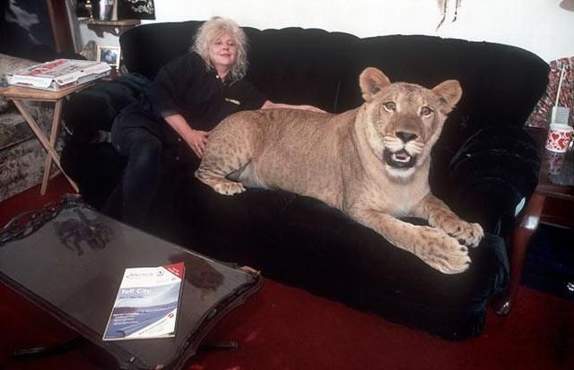 Daily picdump (159 pics)