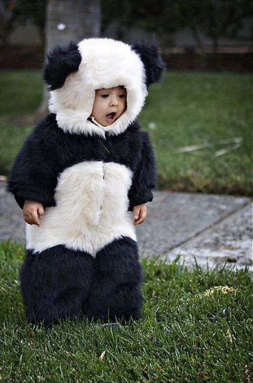 Daily picdump (159 pics)