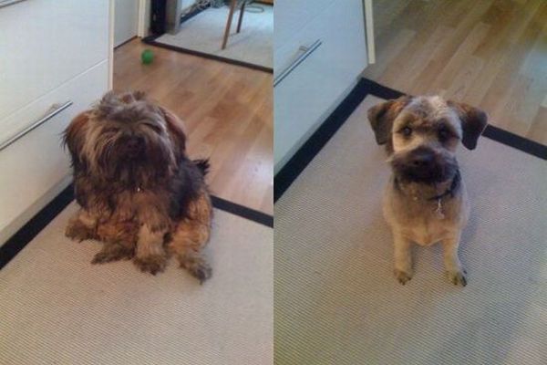 Daily picdump (159 pics)