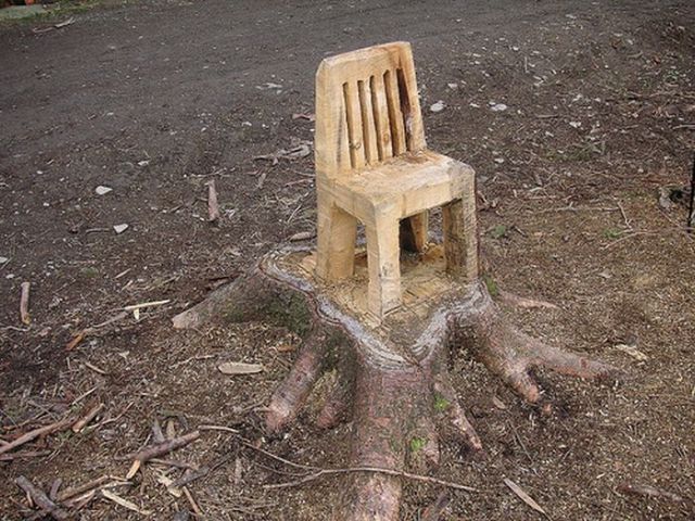 Daily picdump (159 pics)