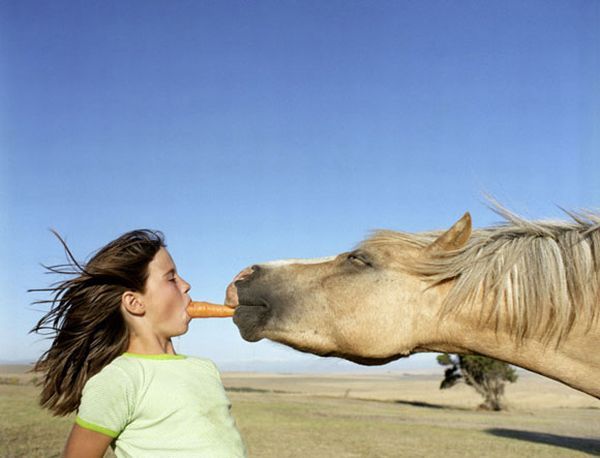 Daily picdump (146 pics)
