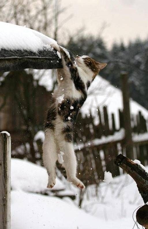 Daily picdump (129 pics)