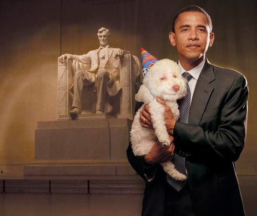 Daily picdump (129 pics)