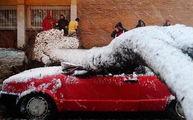 Daily picdump (142 pics)