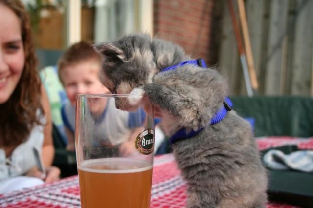 Daily picdump (142 pics)