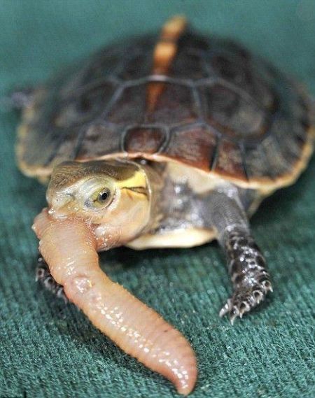 Daily picdump (142 pics)