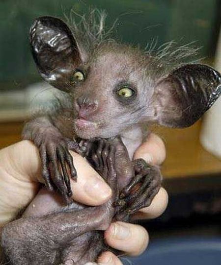 Daily picdump (142 pics)