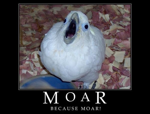 Selection of MOAR Faces (47 pics)