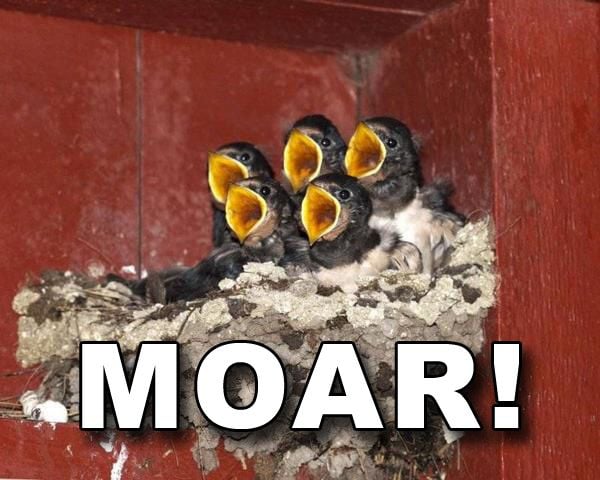 Selection of MOAR Faces (47 pics)