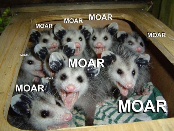 Selection of MOAR Faces (47 pics)
