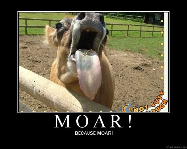 Selection of MOAR Faces (47 pics)