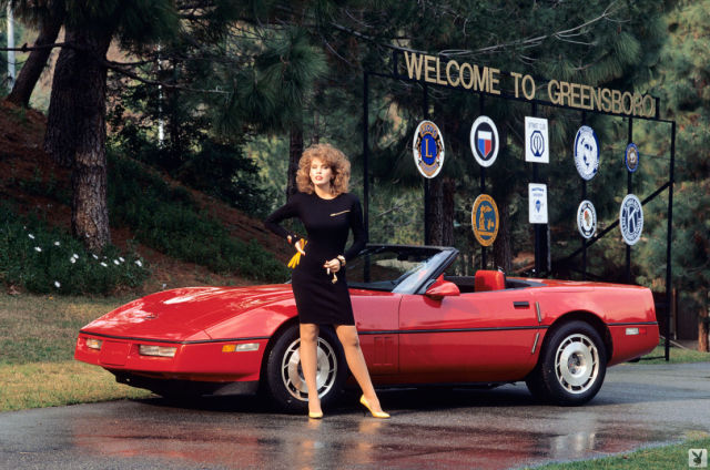Sexy Playboy Playmates of the Year and Pink Cars (38 pics)