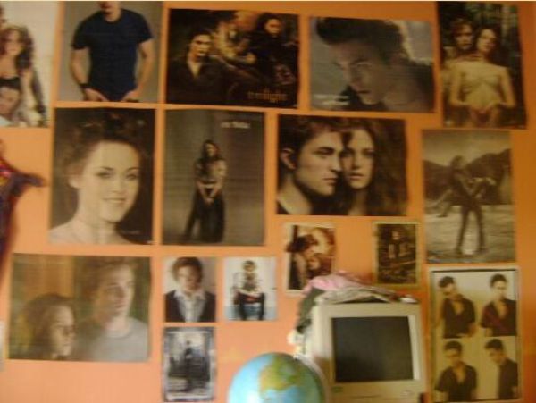 Twilight Fans with Creepy Twilight-Themed Bedrooms (28 pics)