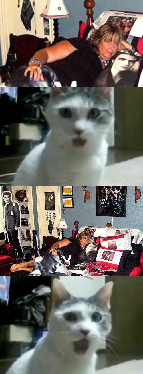 Twilight Fans with Creepy Twilight-Themed Bedrooms (28 pics)