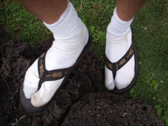 Daily picdump (152 pics)
