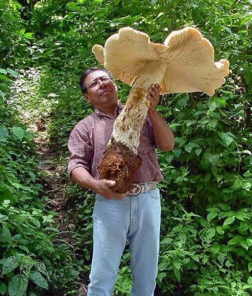 Daily picdump (152 pics)