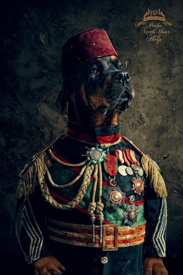 Great Creative Ad Prints (107 pics) Great Creative Ad Prints (107 pics)