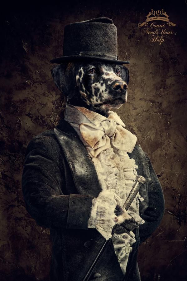 Great Creative Ad Prints (107 pics) Great Creative Ad Prints (107 pics)