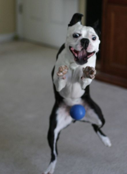 Funny ‘Oops’ Selection (43 pics) Funny ‘Oops’ Selection (43 pics)