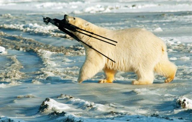 Daily picdump (128 pics)