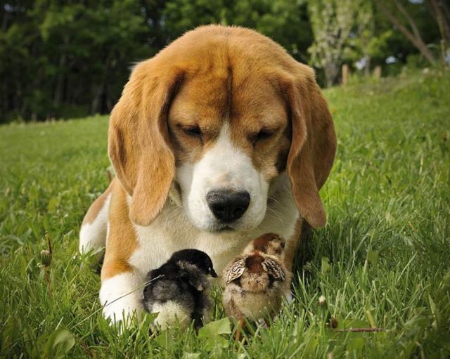 Daily picdump (128 pics)