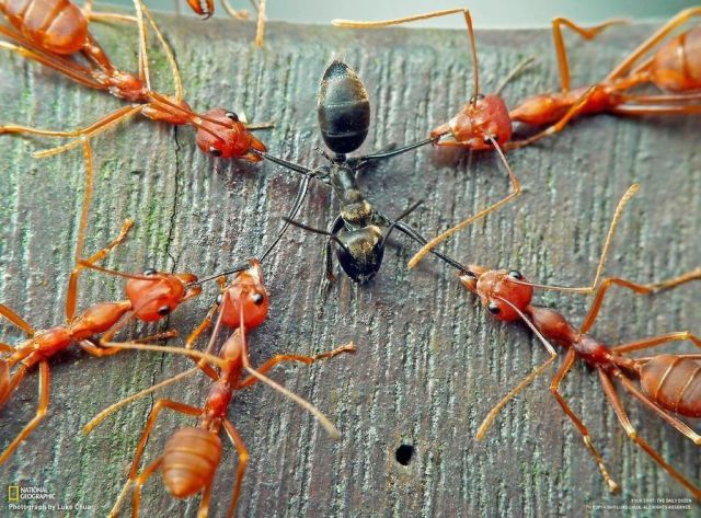 Daily picdump (128 pics)
