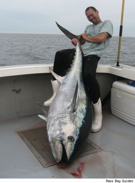 Fisherman’s Dream (31 pics) Fisherman’s Dream (31 pics)