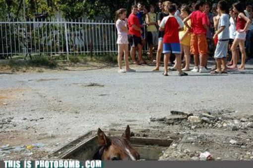 How to Spoil a Photo. Part 7 (48 pics)