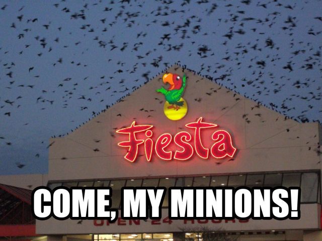 Daily picdump (158 pics)