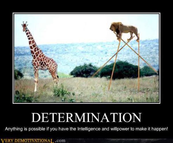 Funny Demotivational Posters. Part 6 (78 pics)
