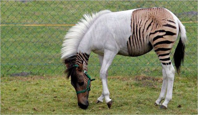 Daily picdump (115 pics)