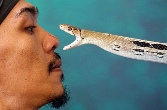 Daily picdump (133 pics)