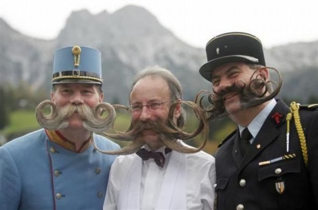 Daily picdump (133 pics)