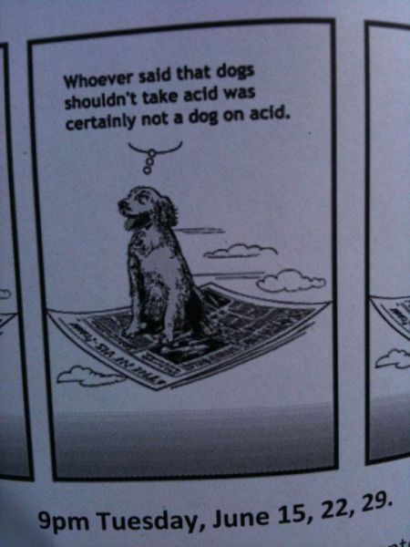 Daily picdump (133 pics)