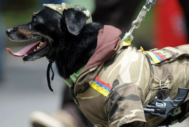 Daily picdump (133 pics)