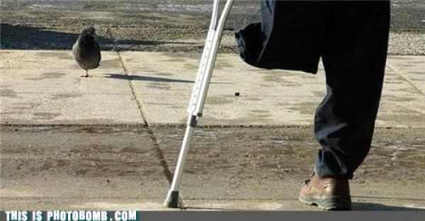 how to spoil a photo part 9 67 pics 11.html - 67 HD Photos | Premium Gallery 2010