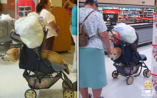 What You Can See in Walmart. Part 7